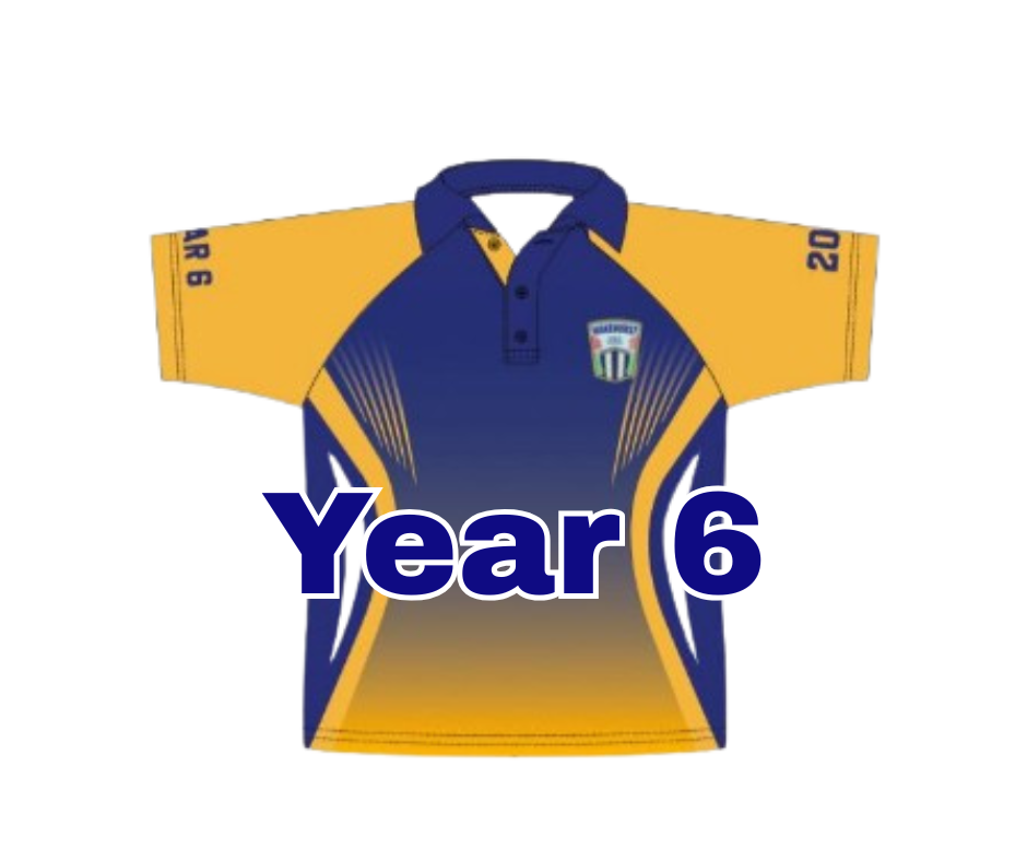 Year 6 Shirts