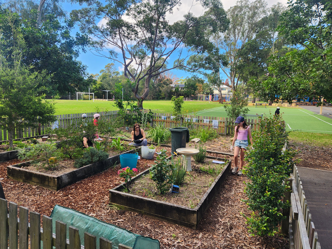 Vegetable Garden